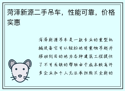 菏泽新源二手吊车，性能可靠，价格实惠